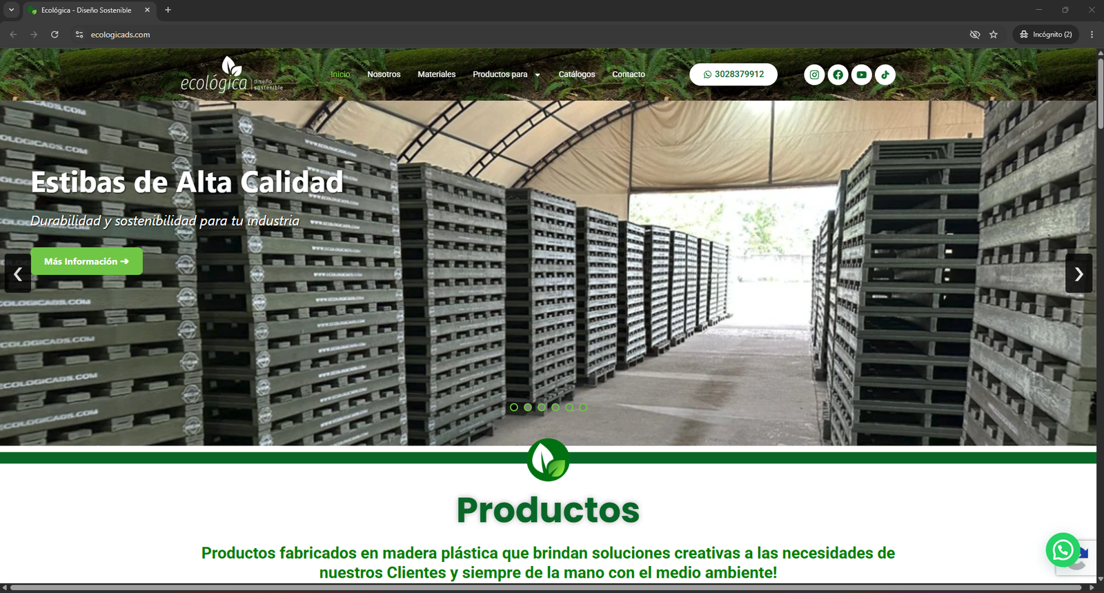 Captura de EcologicAds — Actualización & Optimización